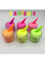 Collection Canicule • Floralie 